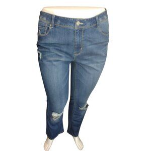 Women Blue Distressed Pant